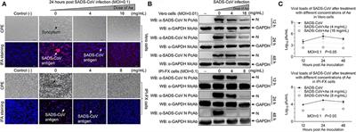 Emodin from Aloe inhibits Swine acute diarrhea syndrome coronavirus in cell culture